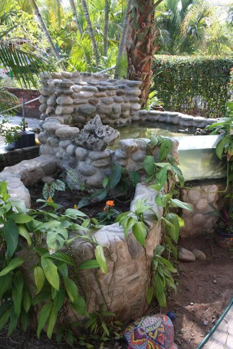 Lush Garden House Near Beaches With Private Pool. Puerto Escondido  Exterior foto